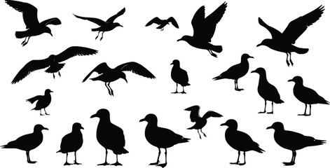 Seagull silhouettes vector collection with flying, landing, and standing coastal birds, black ocean wildlife icons for nature, beach, maritime design resources.