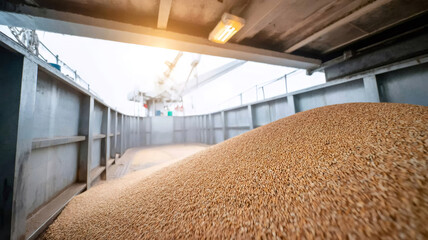 Bulk carrier cargo hold filling with wheat grain, transporting agricultural food production and export worldwide