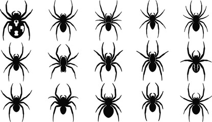 Spider silhouettes collection of various arachnids, black vector icons set isolated on white background, insects, creepy crawlies, taxonomy illustration.