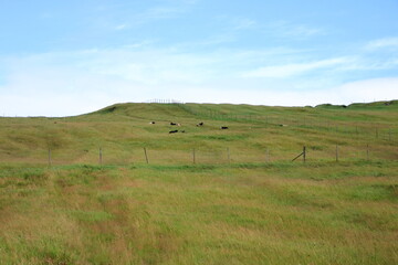 beautiful landscape of Mykines island, Faroe islands, Denmark, Europe