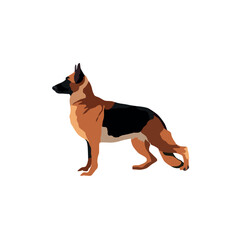 German shepherd dog vector on an isolated white background.eps