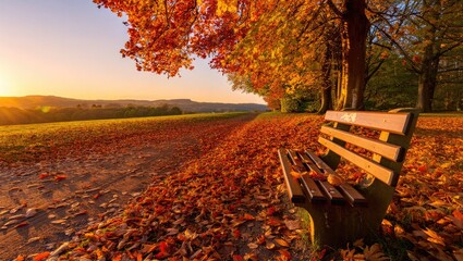 Empty park bench covered in fallen autumn leaves at sunset