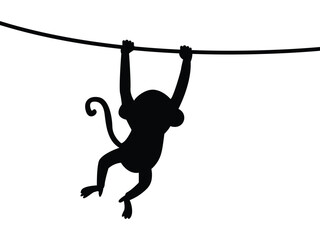 Black silhouette of a monkey hanging from a tree branch. vector illustration isolated on white background.   © Charles stockio