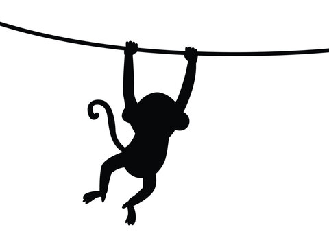 Black silhouette of a monkey hanging from a tree branch. vector illustration isolated on white background.  