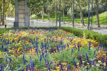Colorful flowerbed in a park in Madrid showcasing vibrant blooms and lush greenery, October 11,...