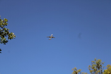 avión