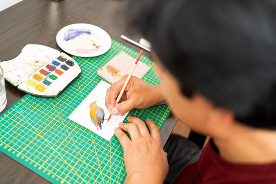 Artist painting watercolor bird illustration in studio