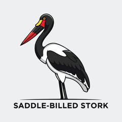Elegant Saddle-billed Stork Vector Art