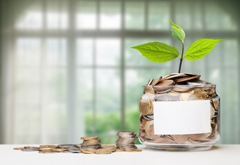 Golden coins with green seedling growing