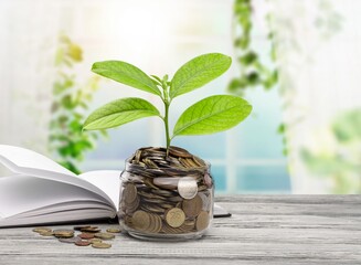Golden coins with green seedling growing