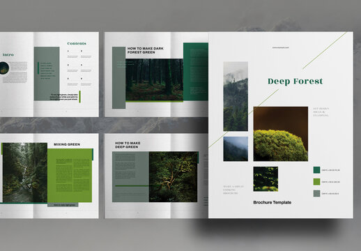 Deep Forest Green Lifestyle Studio Brochure Layout