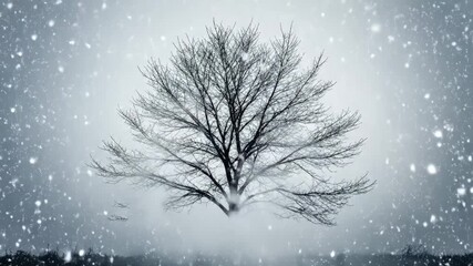 Bare tree standing alone in falling snow during winter season - Powered by Adobe