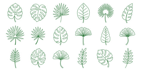 Collection of various green leaf outlines isolated on a white background for design use