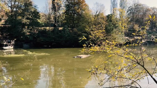 Autumn forest landscape reflection on the water with wooden pier - Autumn landscape in (seven lakes) Yedigoller Park Bolu
