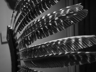 Detalle de las plumas de un atuendo de guerra de húsar polaco.