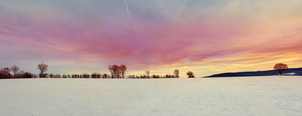 Winter landscape with snow-covered trees and fields under a bright pink sky