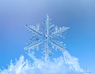 Close-up of a perfectly formed ice crystal with symmetrical arms