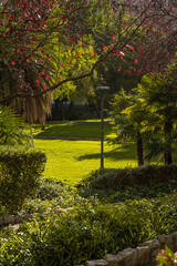 Fototapeta premium Autumn in the park