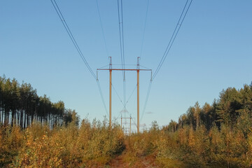high-voltage power lines in a clearing in the forest