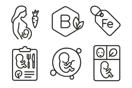 Prenatal Nutrition Icons. Line style icons of nutrition science: prenatal and pregnancy nutrition, folic acid icon, iron