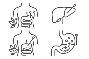 Obraz premium Acupuncture Detox Icons. Line style icons of acupuncture: digestive detox protocols, liver point icon, acupuncture for cleansing,