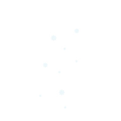 scattered snowflakes