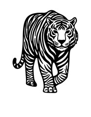 tiger