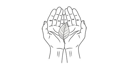 Hands cradling a leaf: simple linear drawing symbolizing care and nature