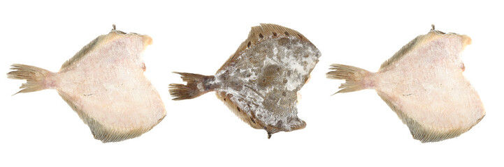 Frozen flatfish pieces isolated on white background.
