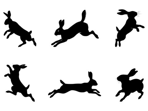 Dynamic bunny silhouettes leaping motion vector set for animation frames childrens book illustrations and spring campaigns
