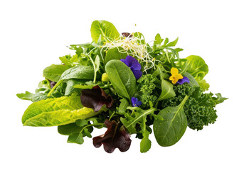 Fresh mixed green salad with edible flower isolated on transparent background, top view