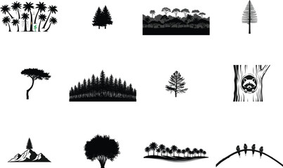 Tropical palm trees forest pine trees mountain landscape