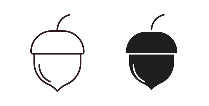 Hazelnut icon concept. Glyph vector illustration isolated. Simple solid style.