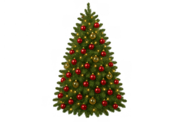 Christmas tree decorating with string lights, red and gold baubles, transparent background asset