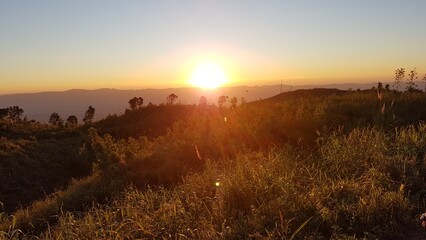 Peaceful sunset view from a hilltop, with golden light filtering through the tall grass and illuminating the rolling hills beyond