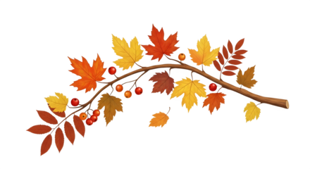 Autumn branch with colorful leaves and berries isolated on transparent background