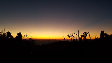 Silhouette of plants against a colorful sunset sky, capturing a serene natural landscape at dusk