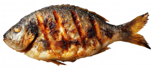 Barbecue grilled fish, isolated on transparent background, golden-brown crust, realistic food texture, clean composition