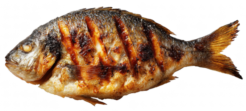 Barbecue grilled fish, isolated on transparent background, golden-brown crust, realistic food texture, clean composition