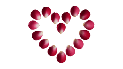 A heart shape formed by petals, expressing love.