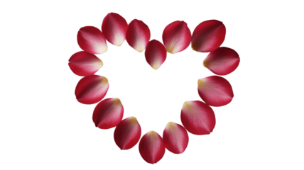 A heart-shaped arrangement crafted from delicate rose petals.