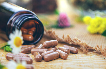 Supplementi and medicinal herbs and flowers. Selective focus.