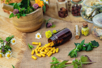 Supplementi and medicinal herbs and flowers. Selective focus.