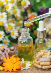 Chamomile extract and medicinal herbs and flowers. Selective focus.