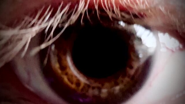 Close-up of human eye with detailed iris, dilated pupil. Macro view of eyes closeup for ophthalmology, optometry concept. Good vision, health biology. Mental health.