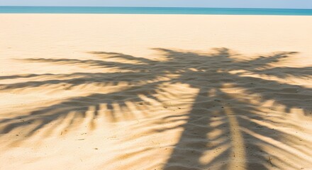 Palm tree shadows cast on clean sand, bright sunny beach ambiance, minimalist tropical composition