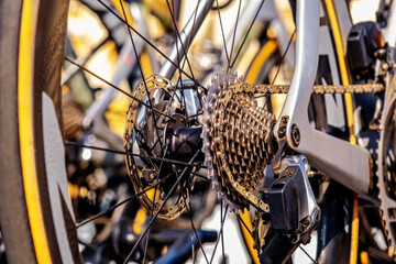 a close-up bicycle rear derailleur and gears, showcasing a detailed view of the metal chainrings and cogs