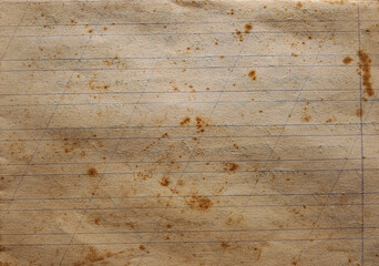 Close-up view of a sheet of lined notebook paper © Roberto Sorin