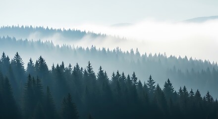 Misty Forest Landscape with Layered Trees stock photo