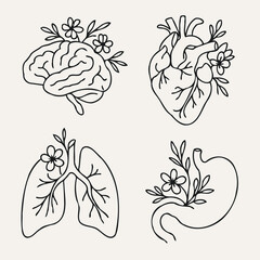 Human internal organs anatomy Collection. Illustration of Stomach, liver, heart, bladder, intestine, pancreas, kidneys, Lungs, pelvis, brain set. Symbol Line art, Outline Doodle icons drawing